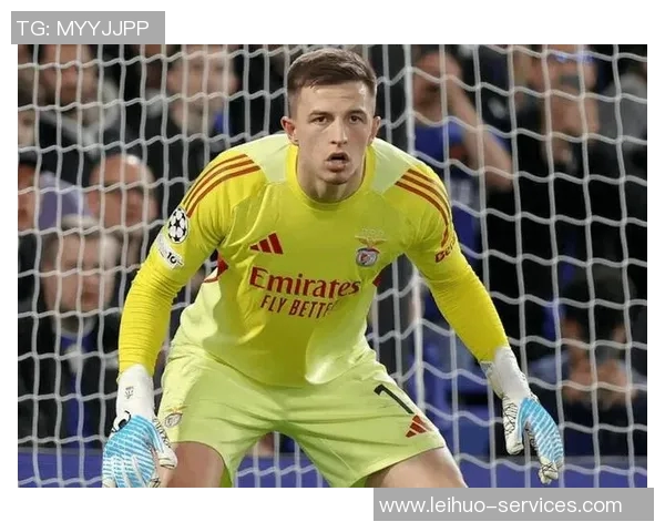 英超精彩对决多特蒙德强势逆转本菲卡全场沸腾