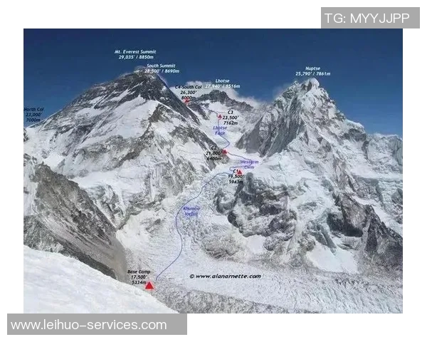 高校联赛特别报道:LNG逆袭之路的辉煌与挑战全景解析 高校联赛特别报道:LNG逆袭之路的辉煌与挑战全景解析